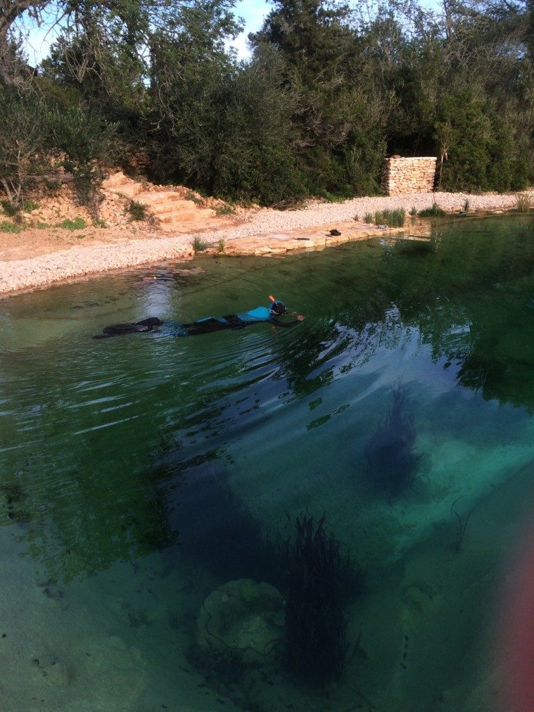 IMG_3348-r-768×1024