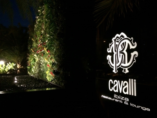 Roberto-cavalli-ibiza-jardín-vertical-giardino-verticale-grüne-Wand-garten-vertical-garten-naturalezayarte-genova