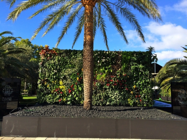 Roberto-cavalli-ibiza-jardín-vertical-giardino-verticale-vertikaler-garten-green-wall-naturalezayarte-genova