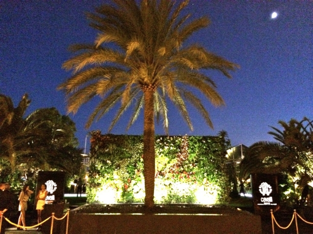 Roberto-cavalli-ibiza-jardín-vertical-giardino-verticale-vertikaler-garten-vertical-garten-naturalezayarte-genova