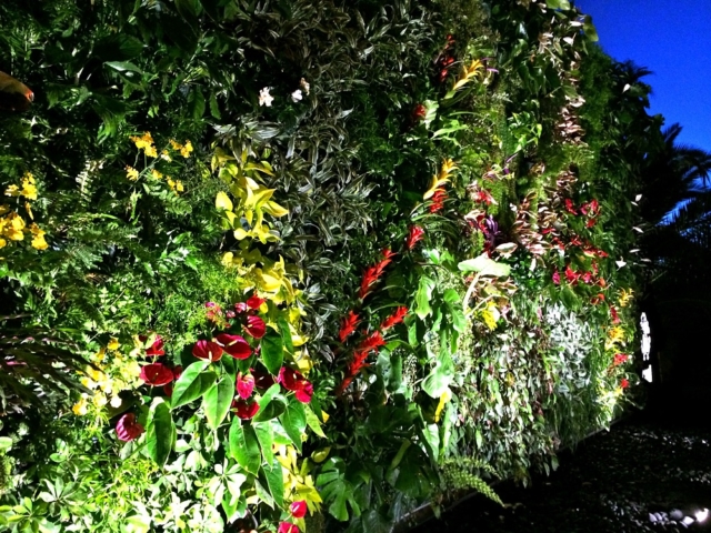 Roberto-cavalli-ibiza-muro-verde-giardino-verticale-vertikaler-garten-vertical-garten-naturalezayarte-genova