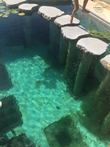 biopool-ibiza-bio-piscina-ibiza-767×1024