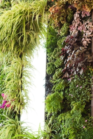 floralewand-naturalezayarte-ibiza-genova-jardin-vertical-giardino-vericale-vertical-garden-682×1024