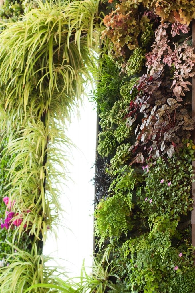 floralewand-naturalezayarte-ibiza-genova-jardin-vertical-giardino-vericale-vertical-garden-682×1024