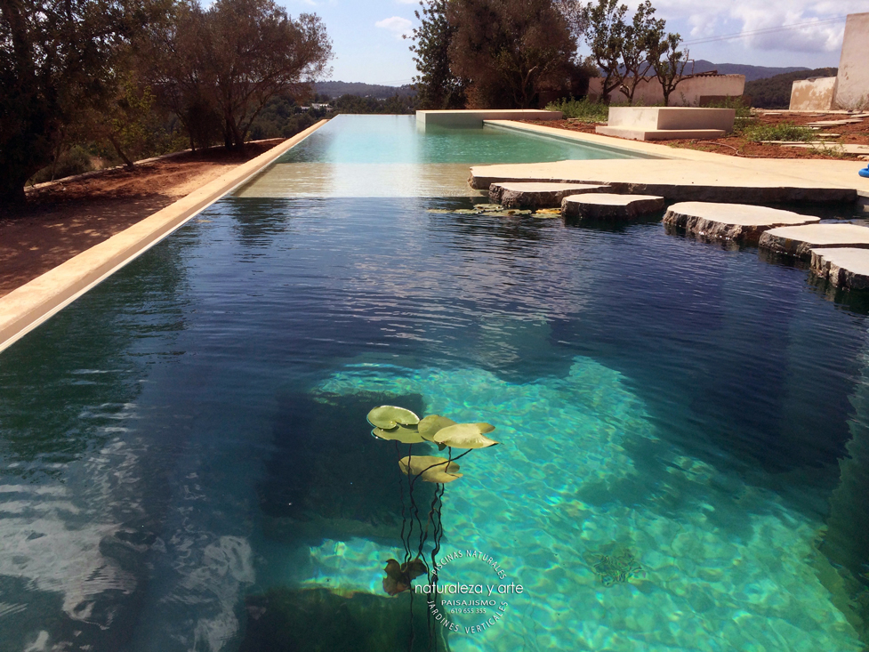 Piscina naturalizada Ibiza, zona de regeneracion, naturalezayart