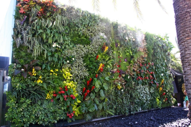 jardin-vertical-Roberto-cavalli-ibiza-vertikaler-garten-giardino-verticale 1