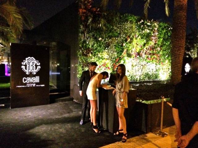 vertikeler-garten-ibiza-baleares-roberto-cavalli-giardino-verticale-jardin-vertical-green-wall